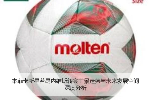 本菲卡新星若昂内维斯转会前景走势与未来发展空间深度分析
